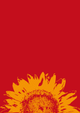 nienteregali-banner
